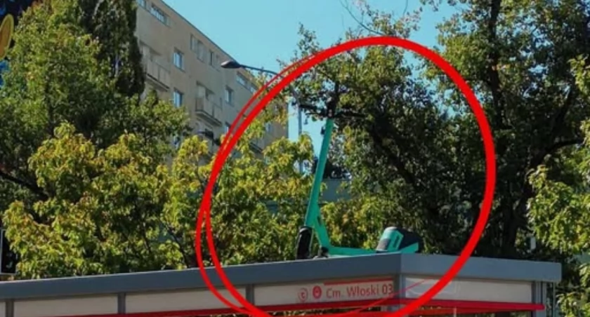 Fot. Zarząd Oczyszczania Miasta Warszawa/ Facebook