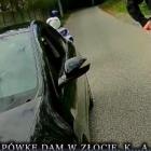 Fotka nr 0 z 3