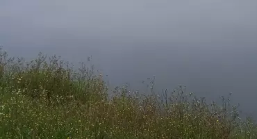 Żegluga Dzielnicy Wisła - załapcie się na darmowy rejs!