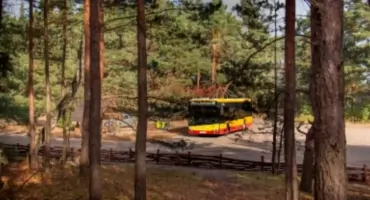 AUTOBUS DO PALMIR ZNOWU W TRASIE! ZTM zdradziło szczegóły