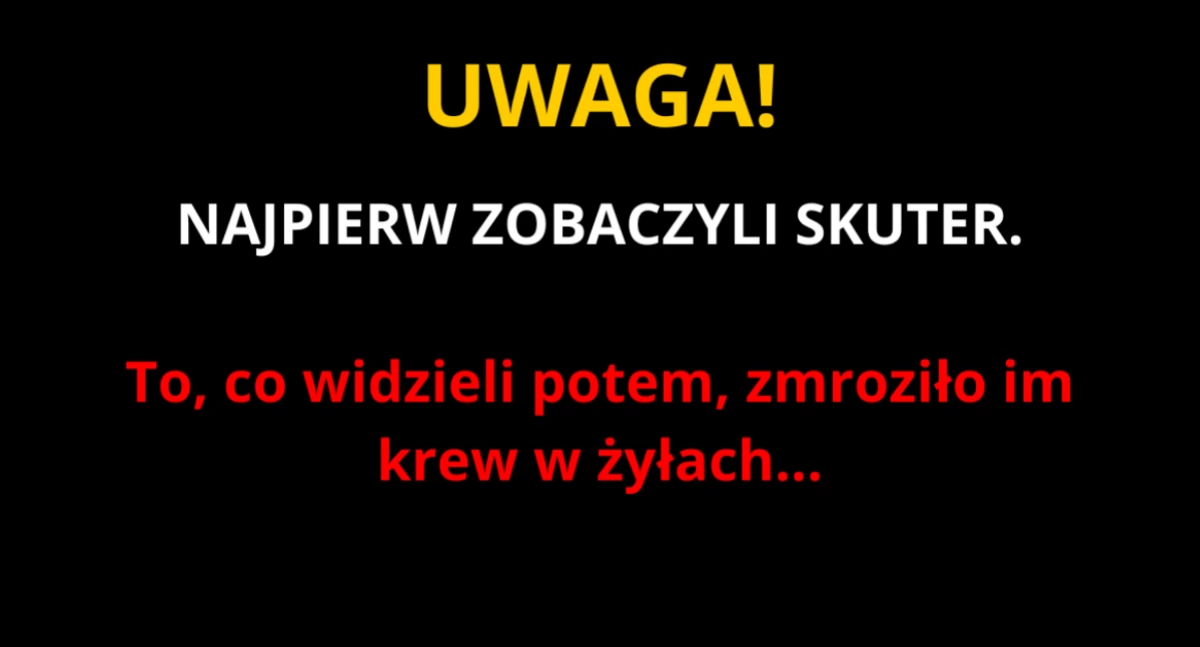 Makabryczne znalezisko na drodze. Tajemnicza tragedia