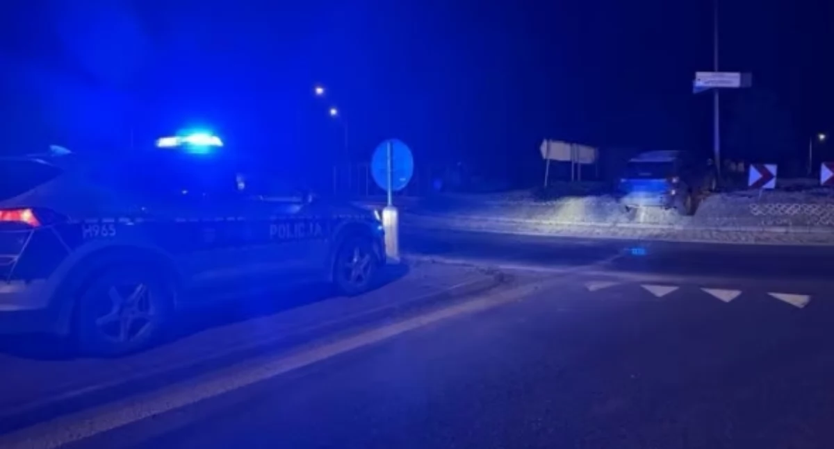 Wylądował na rondzie, prosił funkcjonariusza o przysługę. Akcja w Sochaczewie