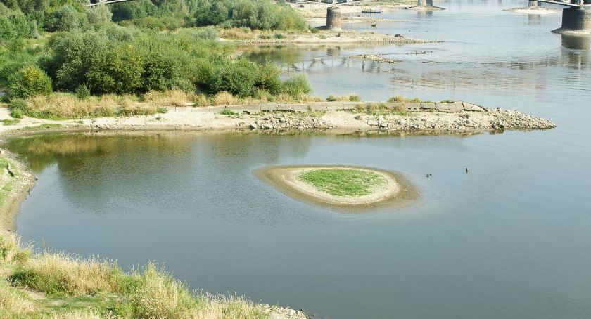Sprzątanie dzikiego brzegu Wisły