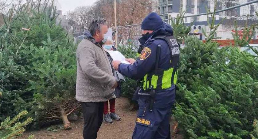 Straż Miejska prowadzi kontrolę sprzedaży choinek