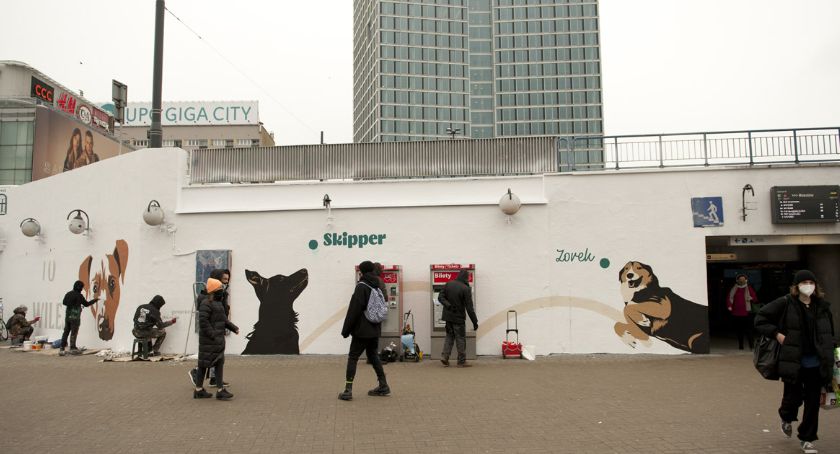 Psi mural powstał na patelni [ZDJĘCIA]