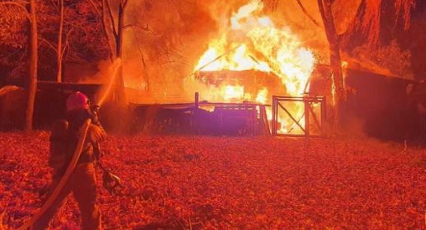 Oby mieli tyle samo powrotów, co wyjazdów. Warszawski strażak pobił rekord akcji 