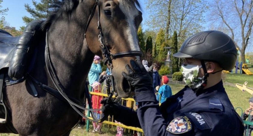 KSP poszukuje koni! 
