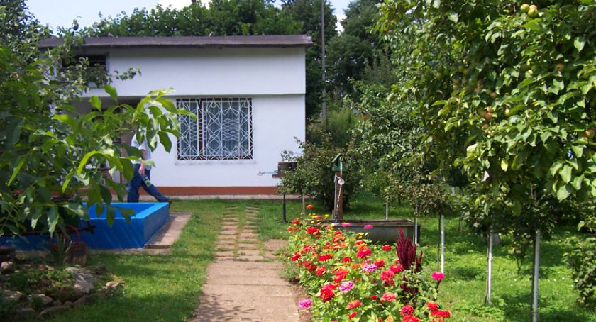 Będą dotacje dla działkowców. Na jakich warunkach?