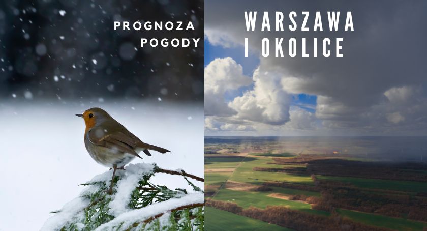 Śnieg i pola