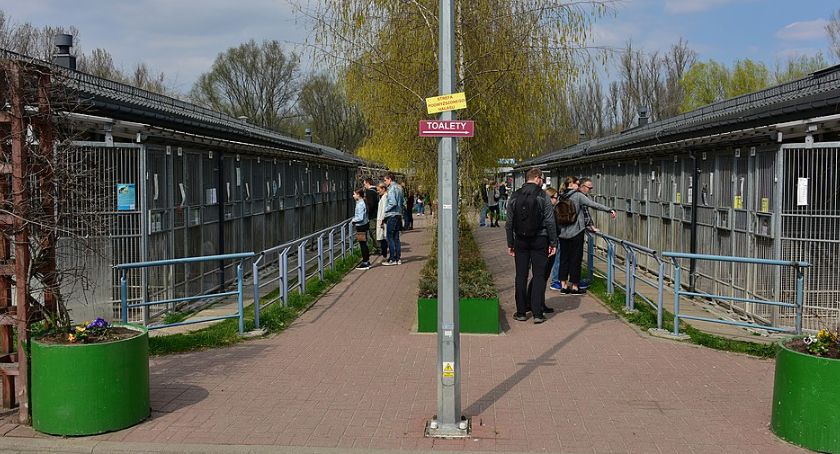 Schronisko Na Paluchu