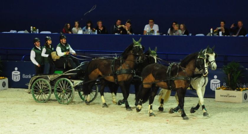 cavaliada