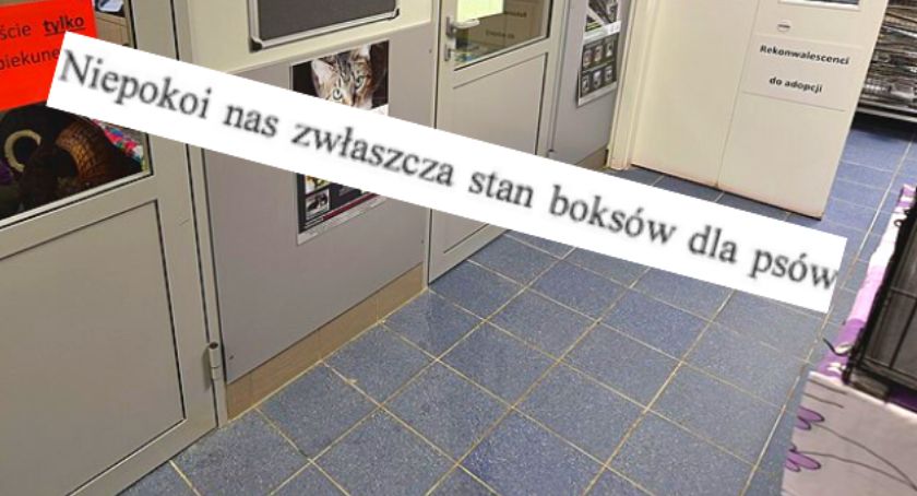 Schronisko Na Paluchu
