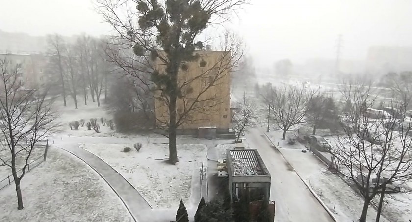 Śnieg 