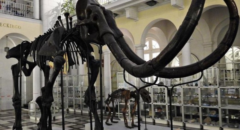 Muzeum