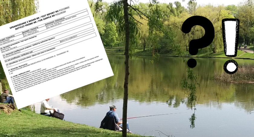 Park Moczydło