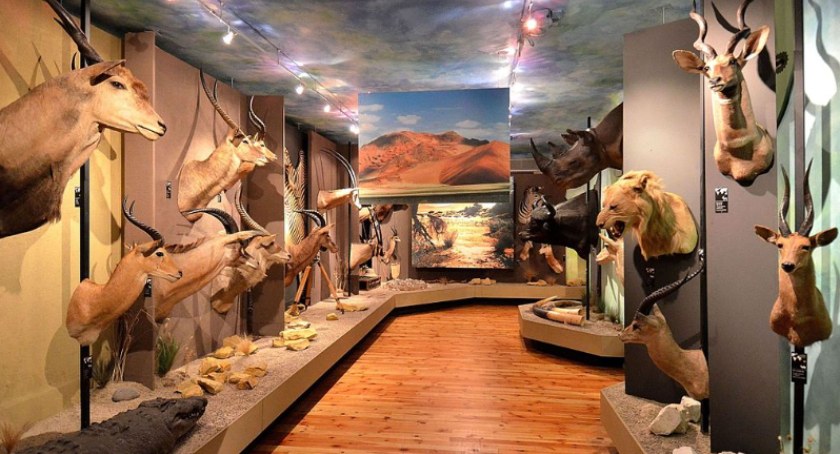 Muzeum Łowiectwa i Jeździectwa
