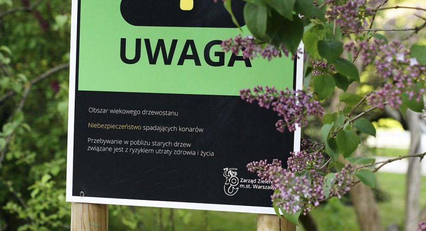 zdjęcie Park Ujazdowski 