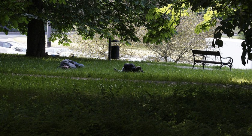 zdjęcie park 