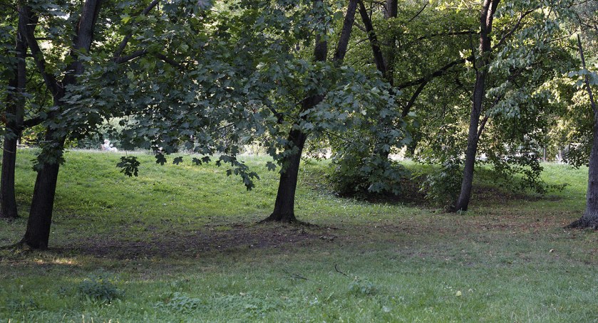zdjęcie Pomiędzy Browarną a Dobrą