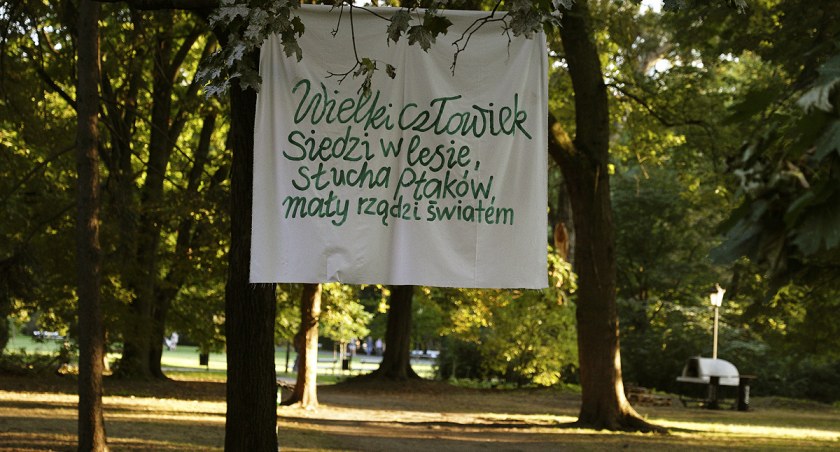 zdjęcie Ogród Saski 
