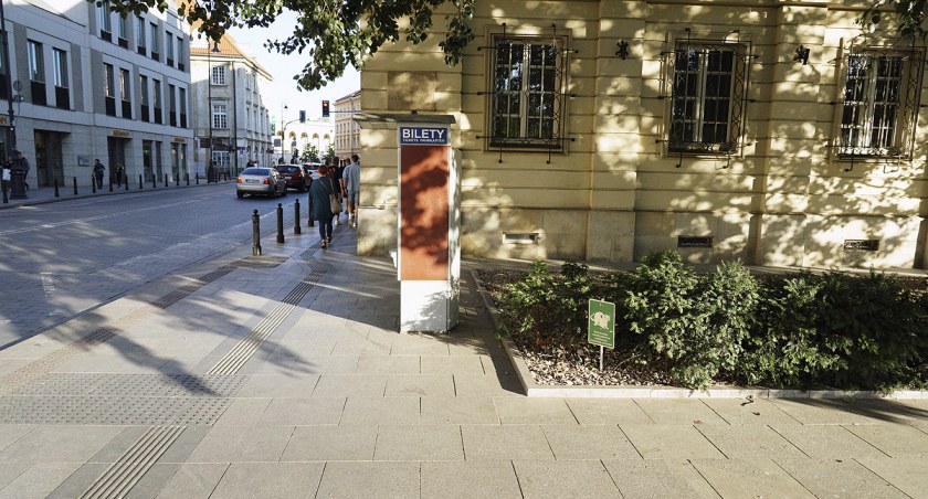 zdjęcie szczur 