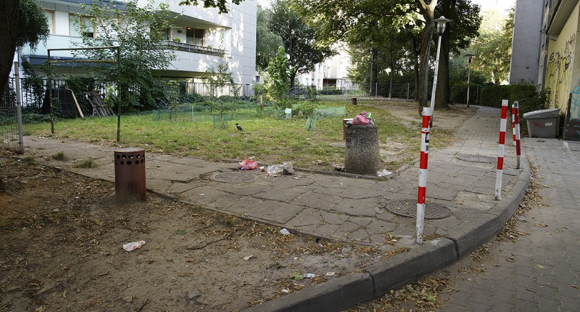 zdjęcie zieleń  