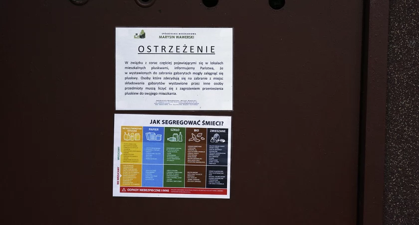 zdjęcie pluskwy 
