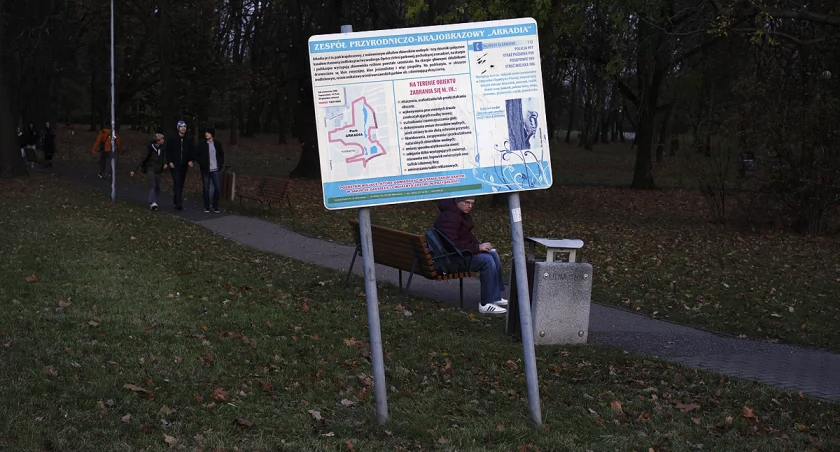 zdjęcie park 