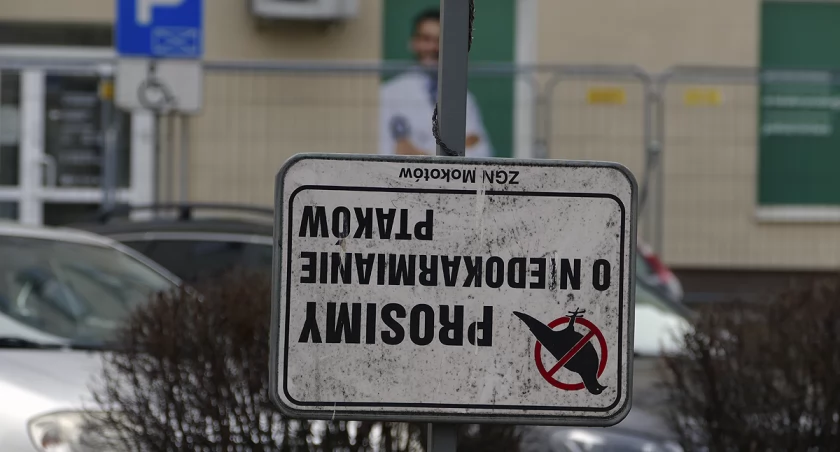 zdjęcie zakaz karmienia ptaków 