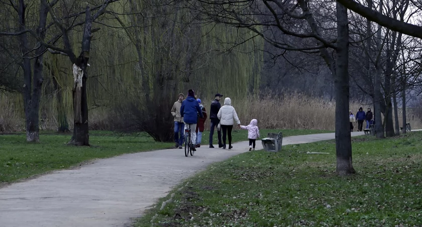 zdjęcie rowerzyści w parku 