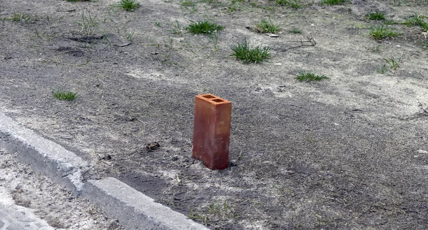 zdjęcie cegła dziurawka 