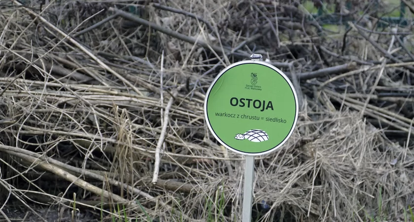 zdjęcie Ostoja na Powiślu 