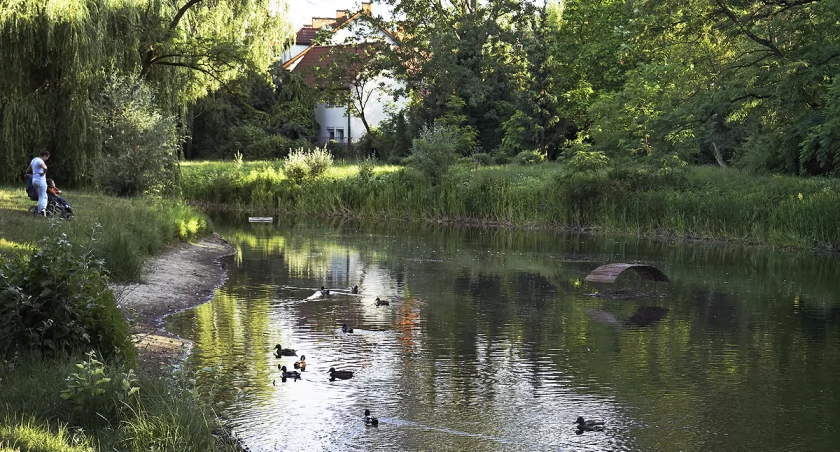 zdjęcie Jezioro Sieleckie