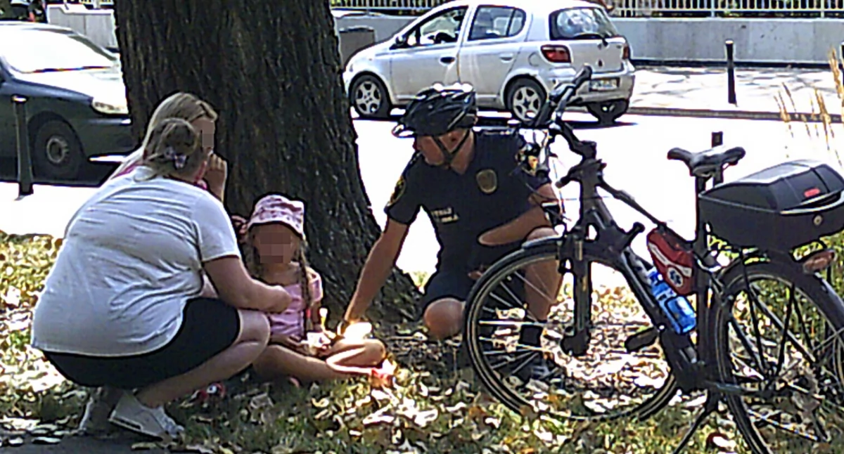 Działania służb, latka ukąszona przez tragedii - zdjęcie, fotografia