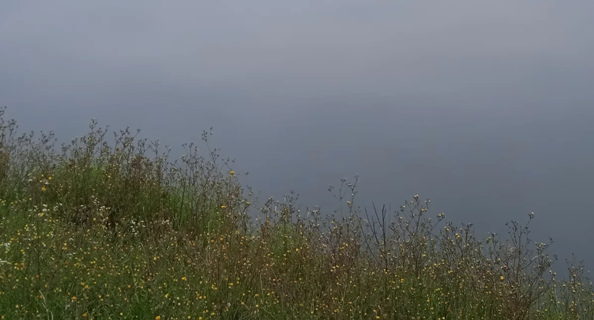 Rekreacja, Żegluga Dzielnicy Wisła załapcie darmowy rejs! - zdjęcie, fotografia