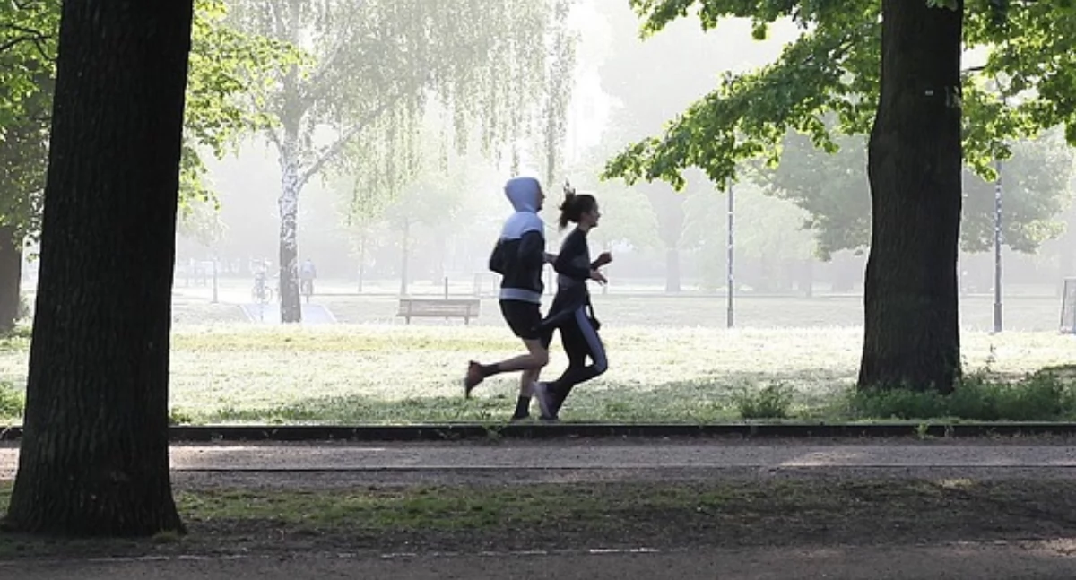Biegi - maratony, Cross Wesoła kategorii niesamowite wrażenia Trwają ZAPISY - zdjęcie, fotografia