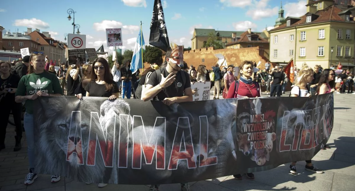 Protesty i manifestacje, wrześniu Marsz Wyzwolenia Zwierząt! - zdjęcie, fotografia