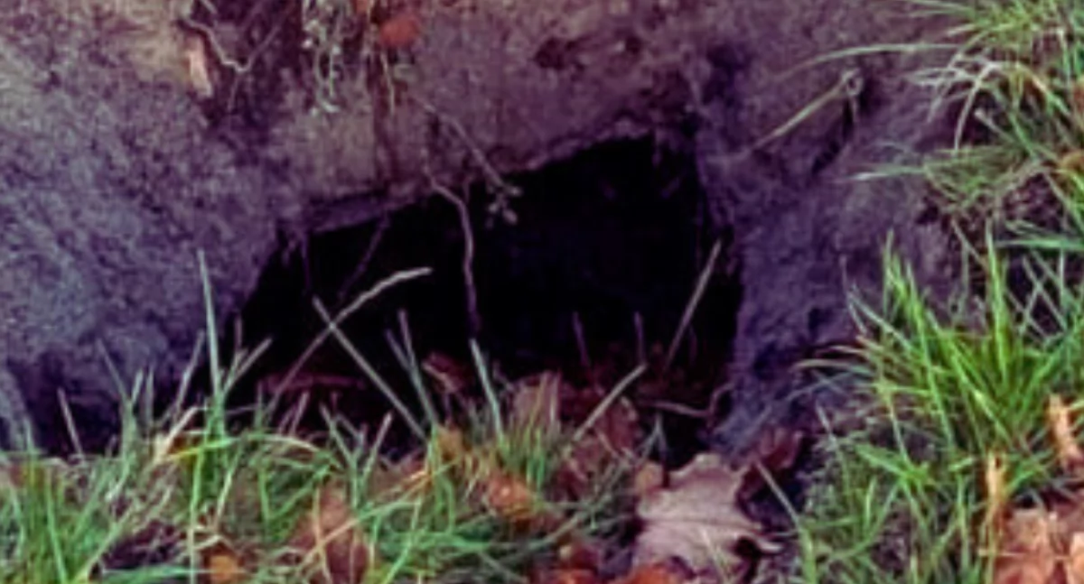 Działania służb, Zamiast morza gotówki kałuża Skradziony parkomat Czubatki - zdjęcie, fotografia