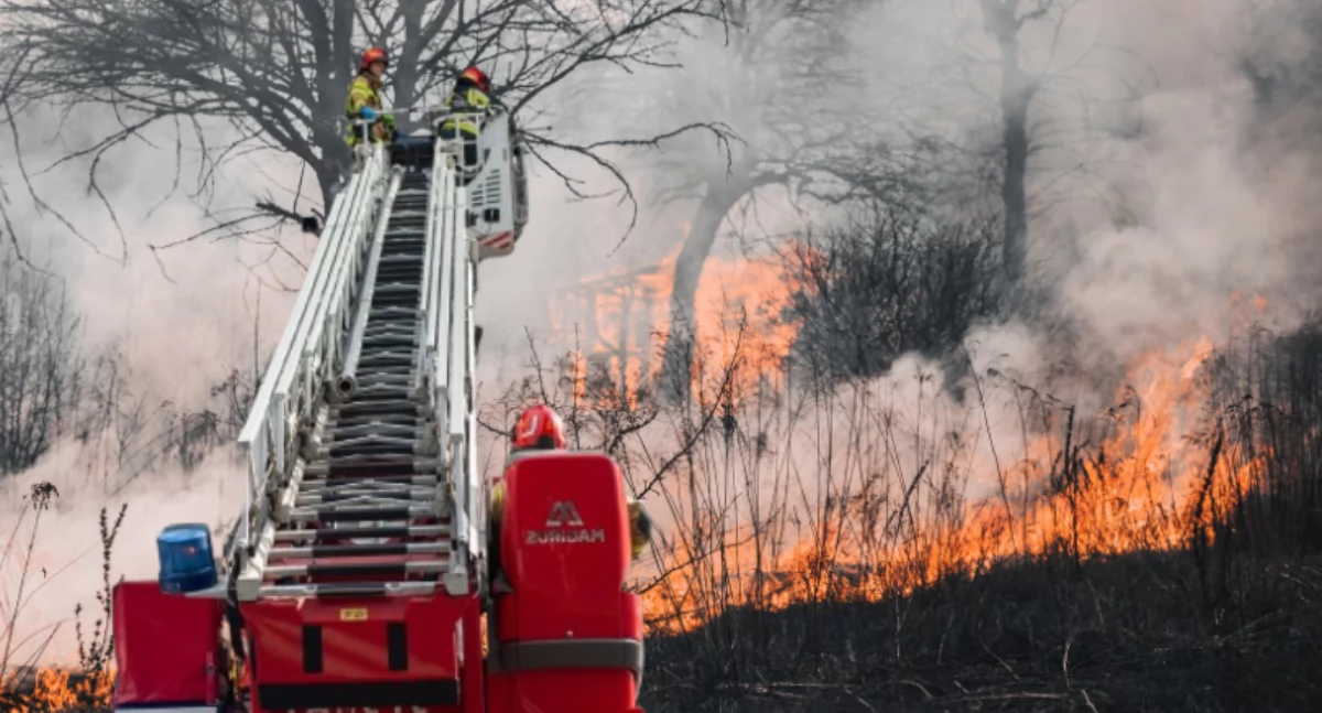 Działania służb, Ekstremalne zagrożenie pożarowe lasach - zdjęcie, fotografia