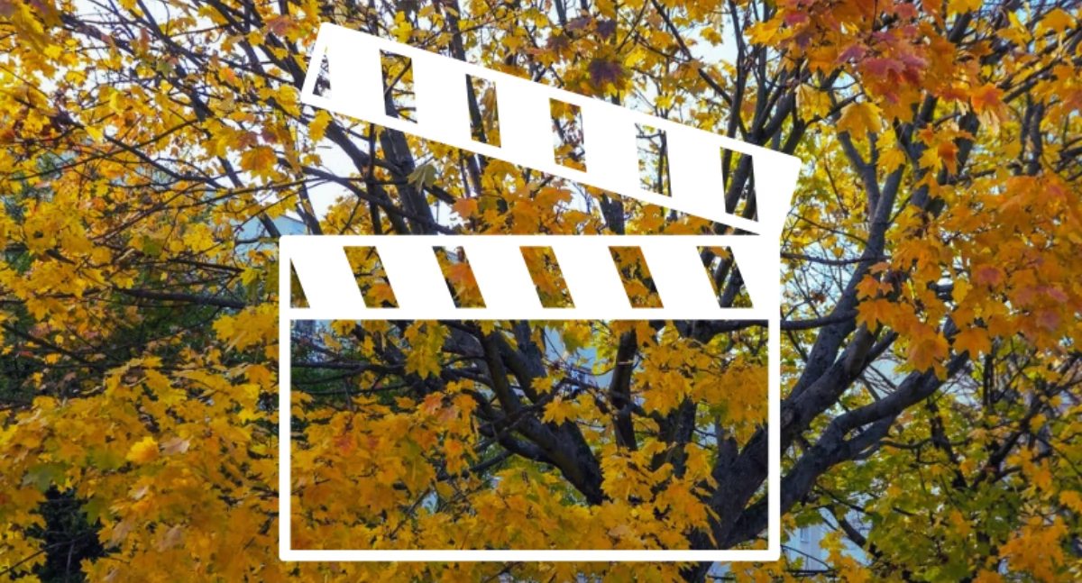 Zieleń - parki, Poczuj bohater ekranu Dzielnica Filmowa zaprasza! - zdjęcie, fotografia