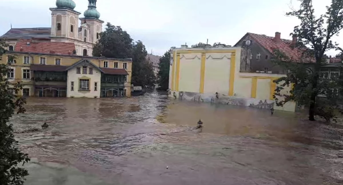 Zwierzęta, zalanego schroniska trafią Potrzebna pomoc! - zdjęcie, fotografia