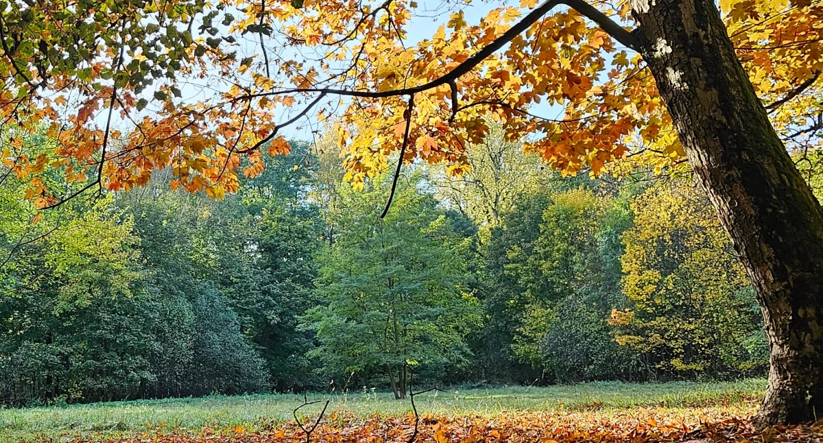 Ostrzeżenie pogoda, Pogoda horyzoncie koniec letniej - zdjęcie, fotografia