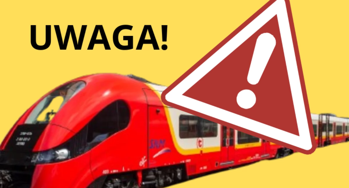 Transport publiczny, Wielka awaria sieci! Szybka Kolej Miejska bardzo opóźniona - zdjęcie, fotografia