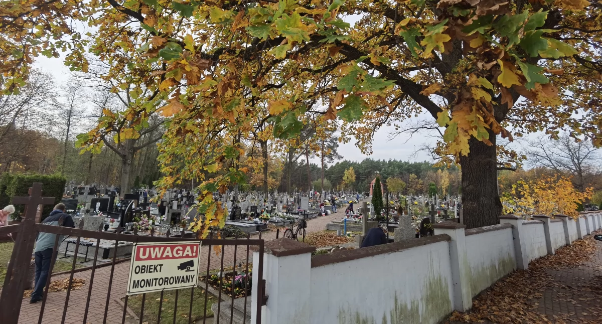 Transport publiczny, Ruszają linie cmentarne (TRASY LINIE) - zdjęcie, fotografia