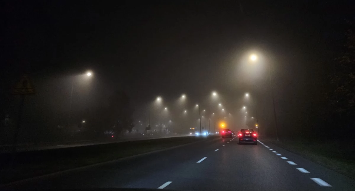 Ostrzeżenie pogoda, Uwaga silna mgła! - zdjęcie, fotografia