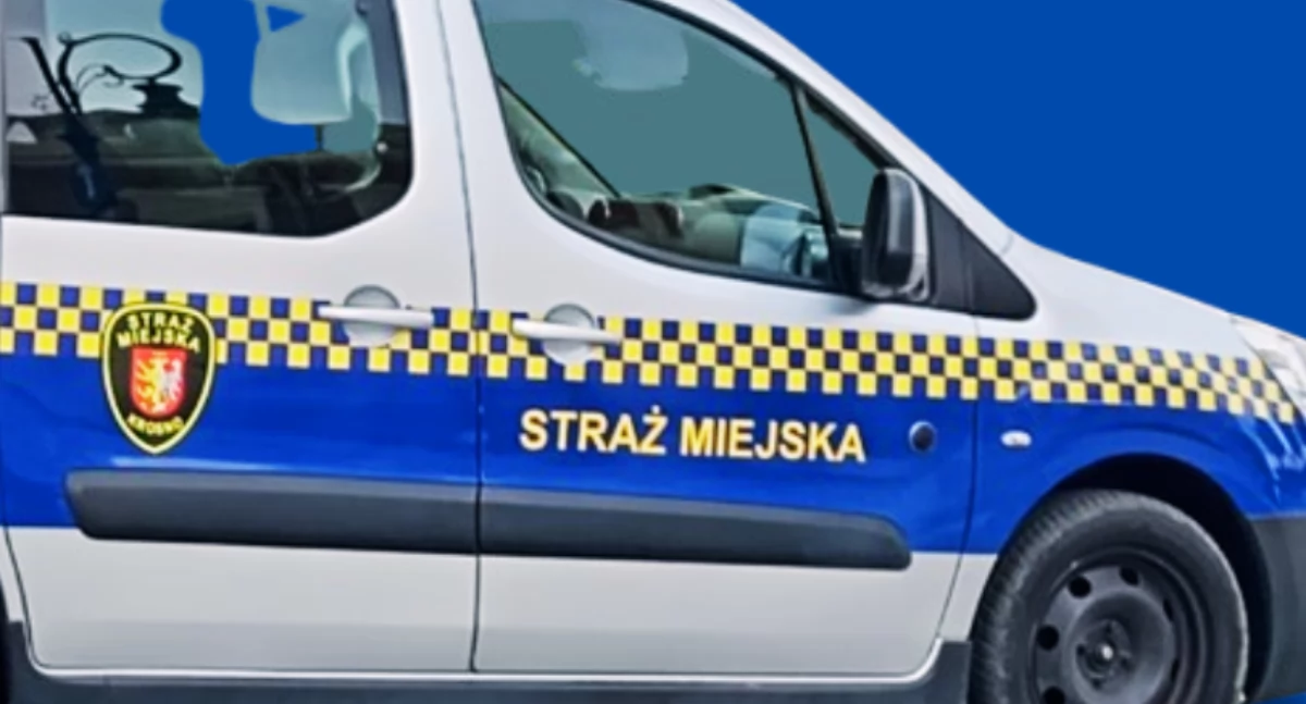 Działania służb, Strażnicy miejscy kontra szalone nastolatki - zdjęcie, fotografia