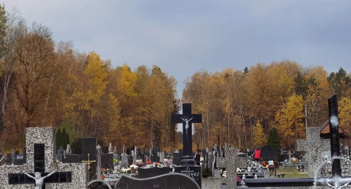 Cmentarze, Wyszukiwarka grobów działa - zdjęcie, fotografia