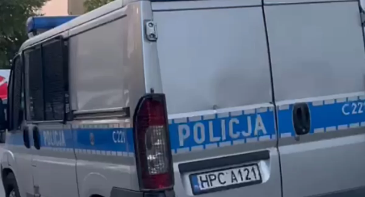 Poszukiwani, Uwaga oszust! Poznajesz znać policji! - zdjęcie, fotografia