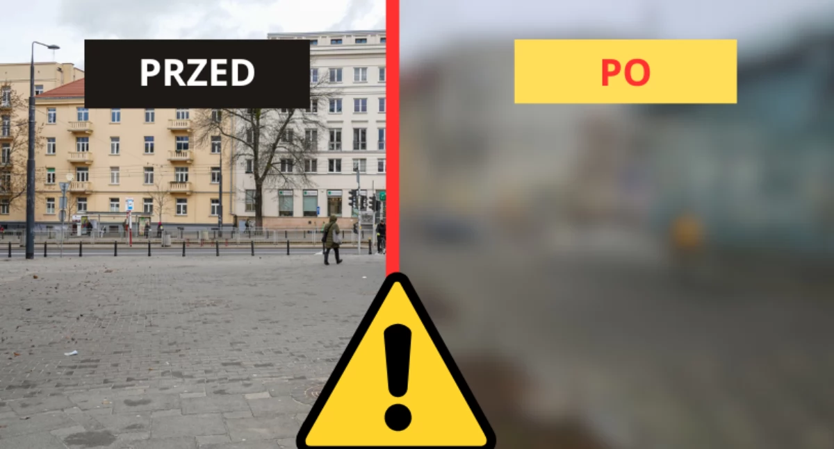 Zieleń - parki, Wilsona przeszedł wielką metamorfozę! (ZDJĘCIA) - zdjęcie, fotografia