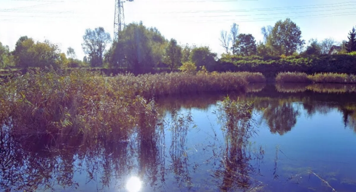 Zieleń - parki, Glinianki Sznajdra miejscu prawie wszyscy zapomnieli (ZDJĘCIA) - zdjęcie, fotografia